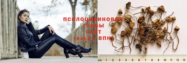 синтетический гашиш Новодвинск
