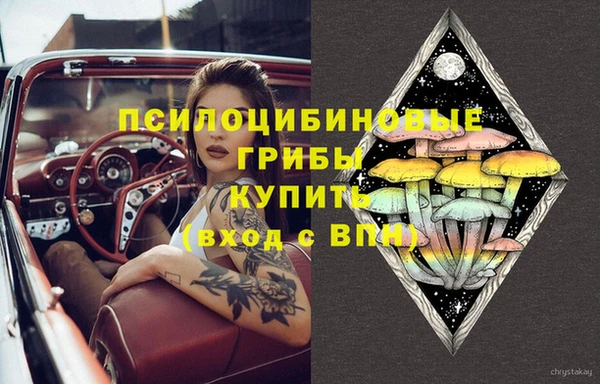 наркотики Новозыбков