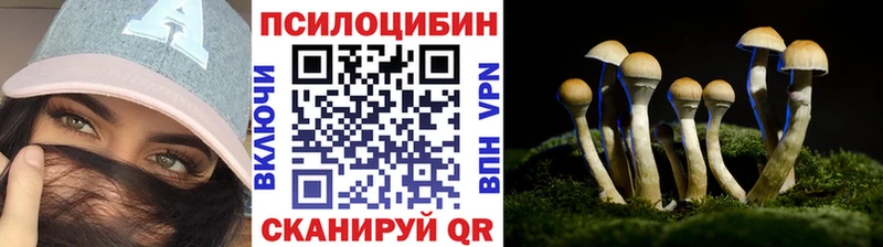 Псилоцибиновые грибы мицелий  Дербент 