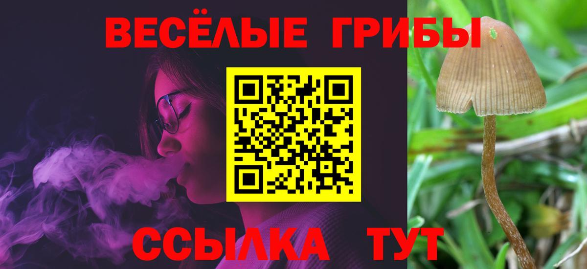 сколько стоит  Дербент  Псилоцибиновые грибы Cubensis  Псилоцибиновые грибы Magic Shrooms 